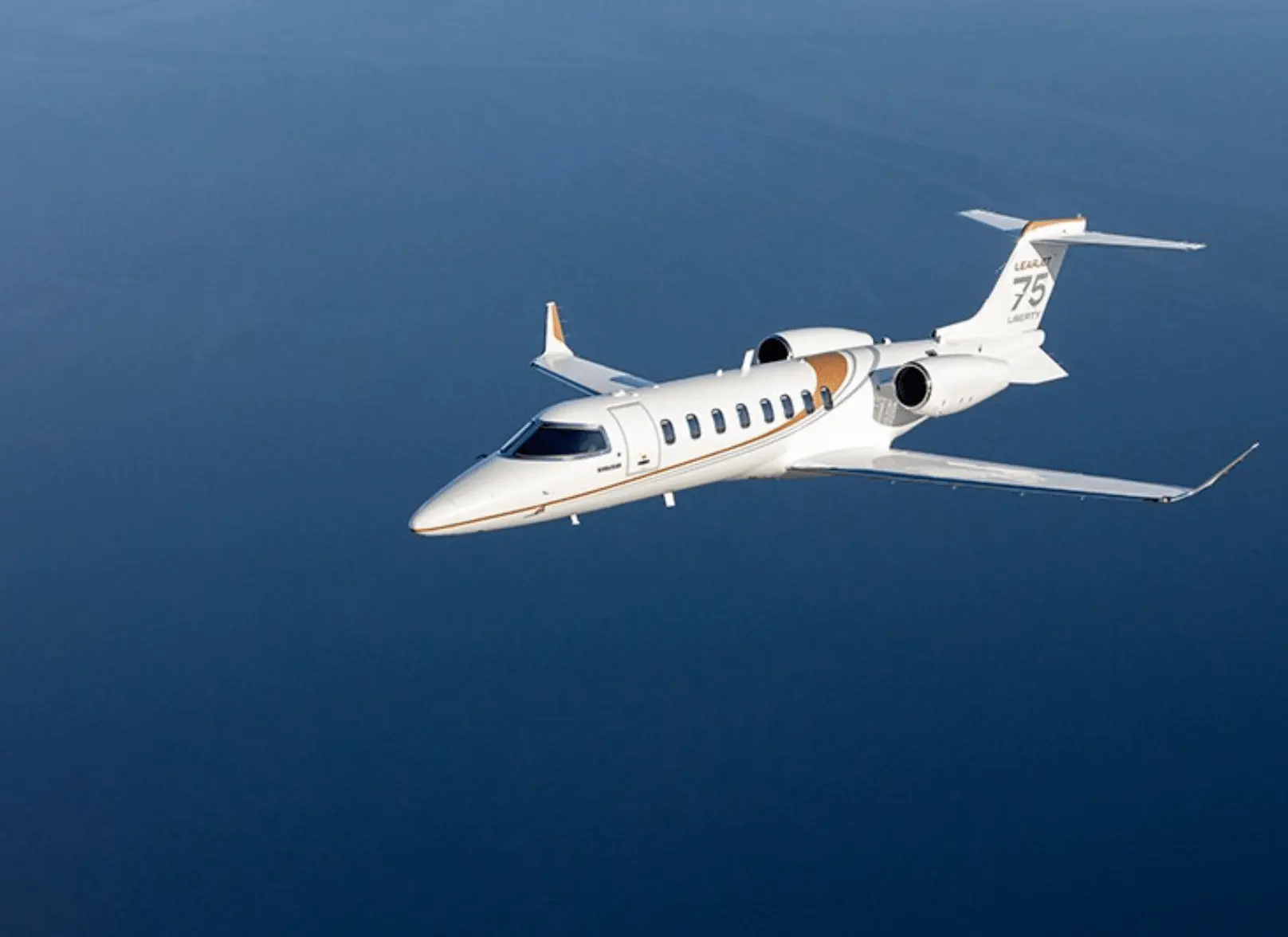 L'Avion Light Jets (Learjet 75) vu de nez